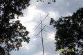 VHF.small.jpg